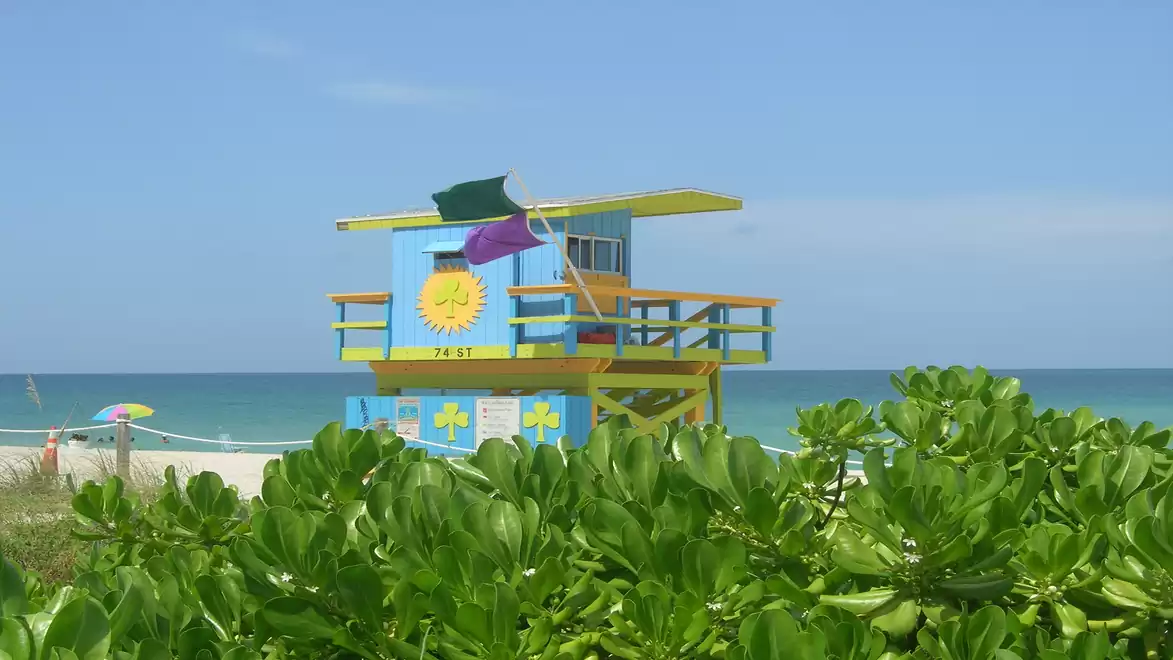 Colorful lifeguard hut on the beach with blue sky and ocean in the background, surrounded by green plants.