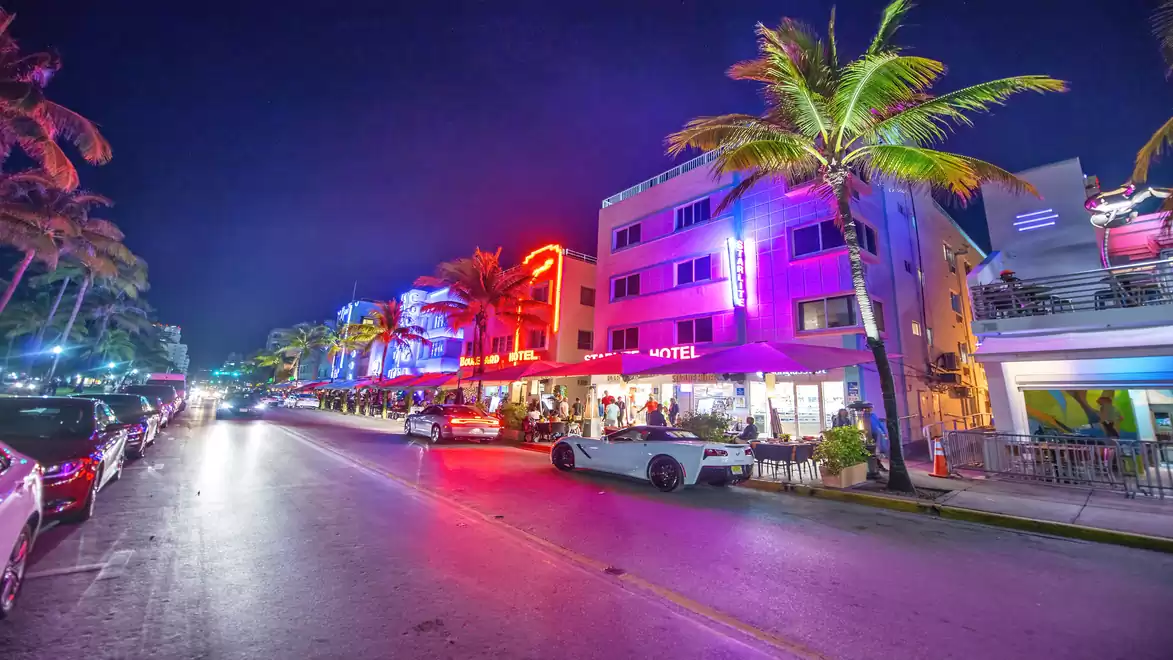 Night view of a bustling street in Miami Beach with neon lights, palm trees, and modern buildings.