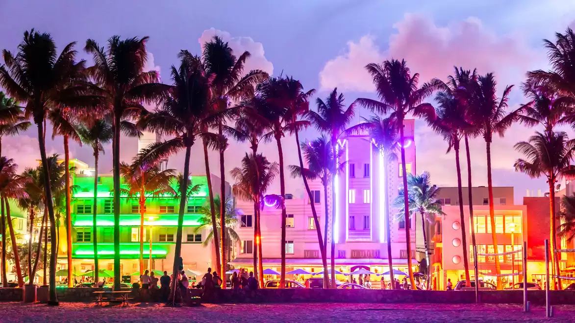 Colorful neon lights of buildings and palm trees at sunset in Miami Beach.
