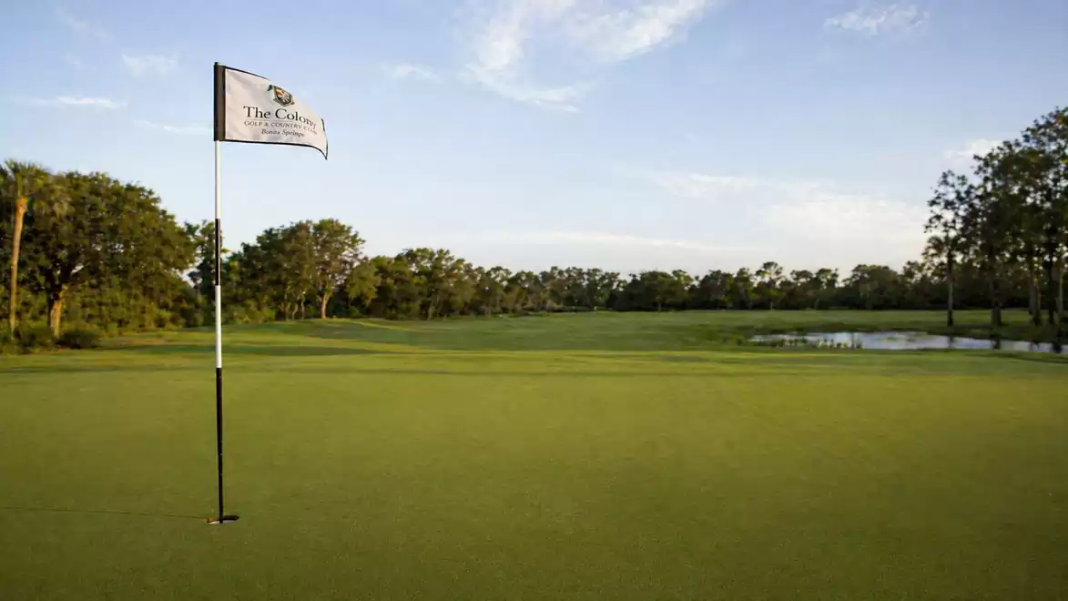 Green golf course hole with a flag on a sunny day, surrounded by trees and a small pond in the background.