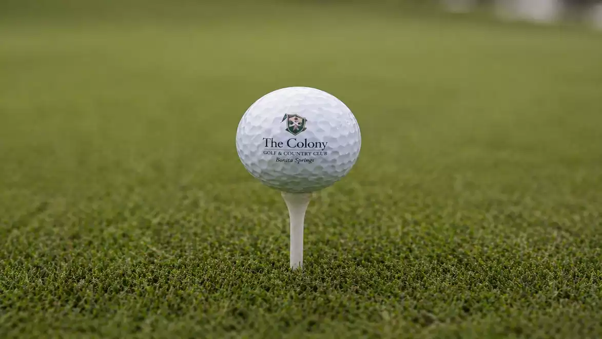 Close-up of a white golf ball on a tee, on green grass.