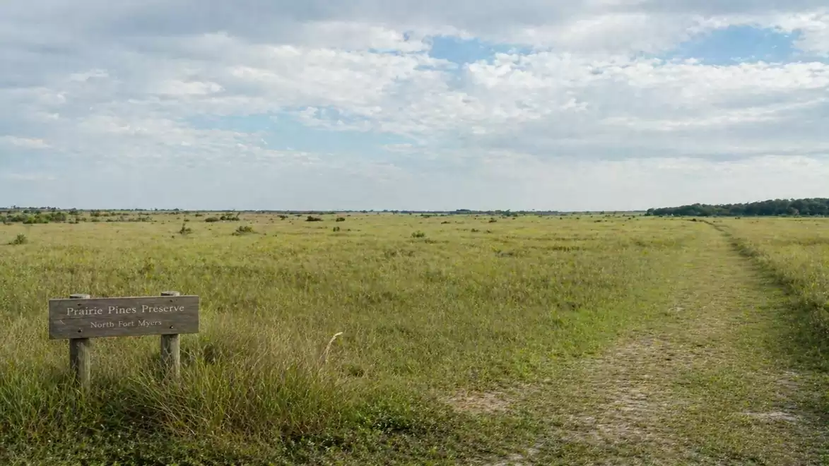 Expansive grassland under a cloudy sky with a sign on the left side.