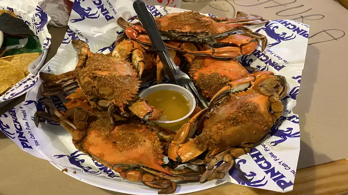 A plate of freshly cooked crabs, served with a sauce in the middle and a fork on the plate, arranged on paper with a blue logo print.