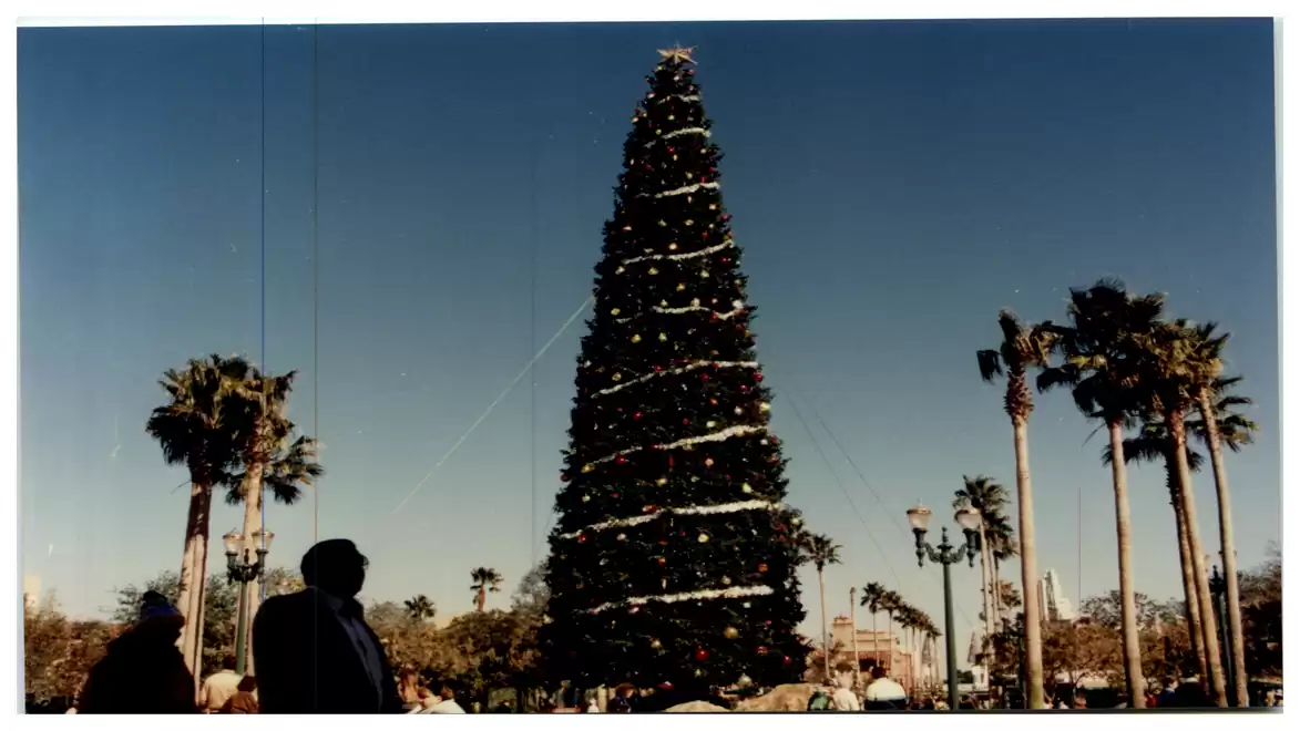 A large, festively decorated Christmas tree with lights stands outdoors next to several palm trees under a clear blue sky. In the foreground, silhouettes of people are visible, observing the tree.