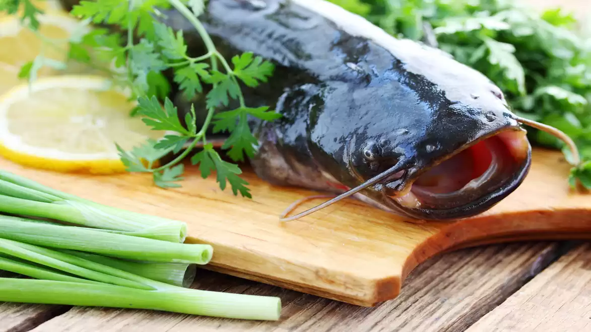 A fresh catfish on a wooden board with lemon slices and herbs, ready for cooking.