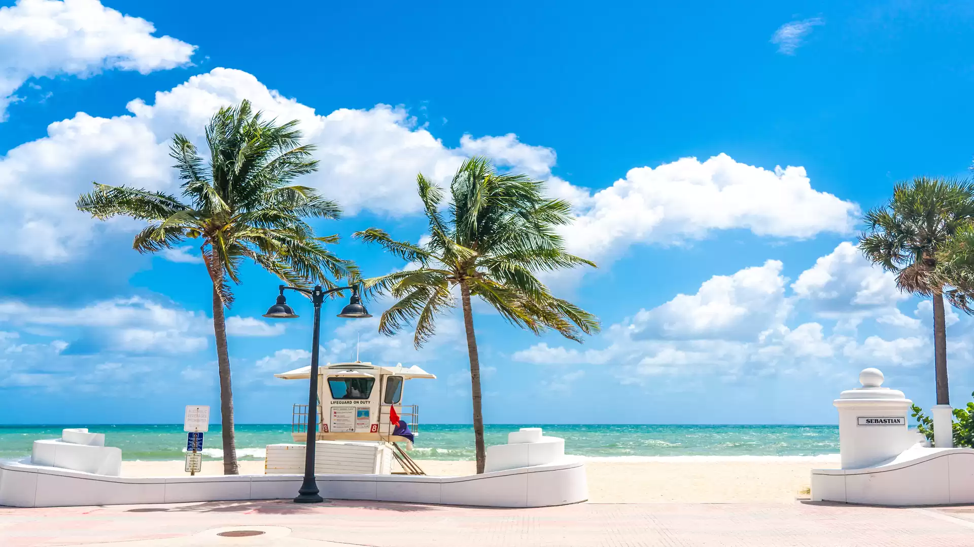 Beach with palm trees and blue sky on a sunny day.