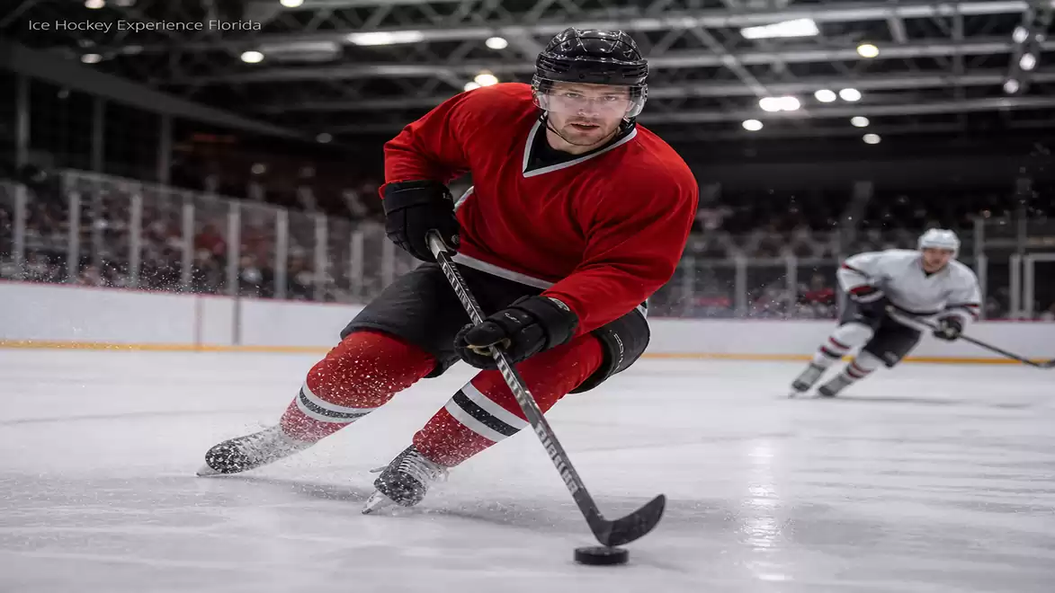 A hockey player in a red jersey is skating on the ice, pursued by another player. The stadium lights illuminate the field.