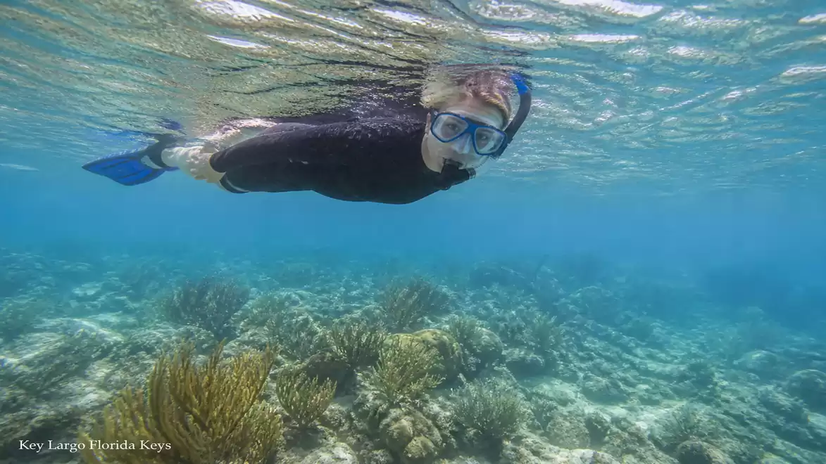 A person snorkeling in clear water over a coral reef in Key Largo, Florida Keys.