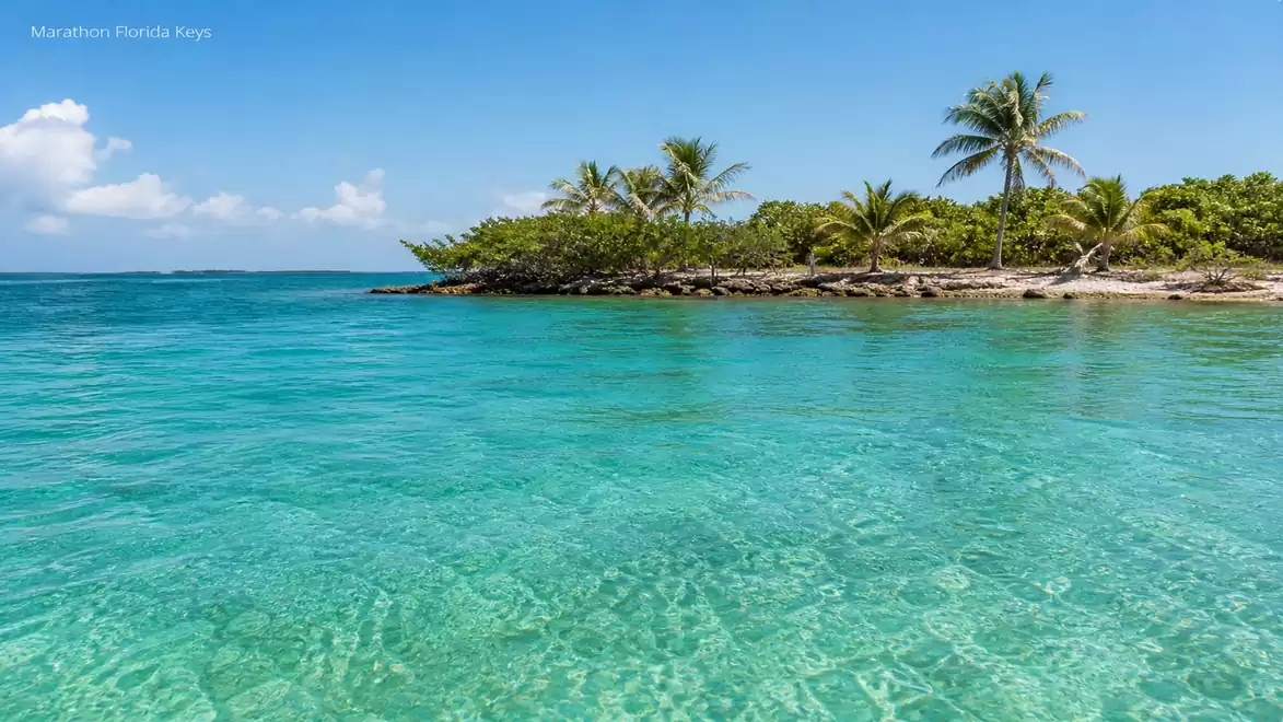 Tropical island with palm trees and crystal-clear water under a blue sky in the Florida Keys.