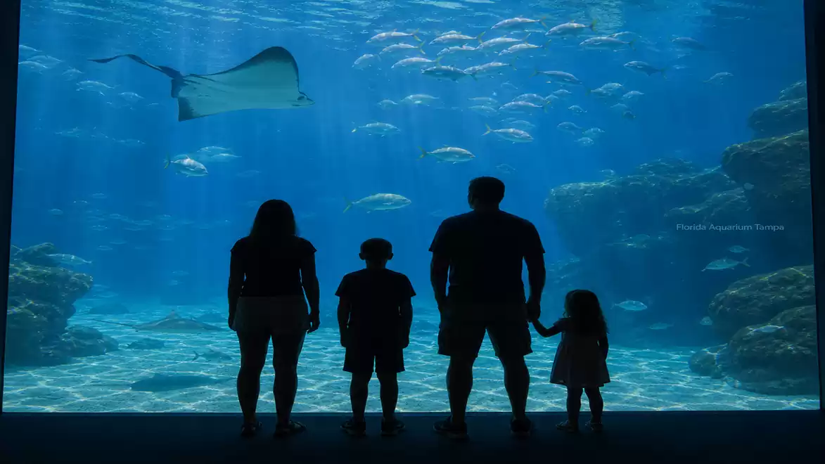 A family stands in front of a large aquarium, watching fish and a stingray swimming peacefully in the blue water.