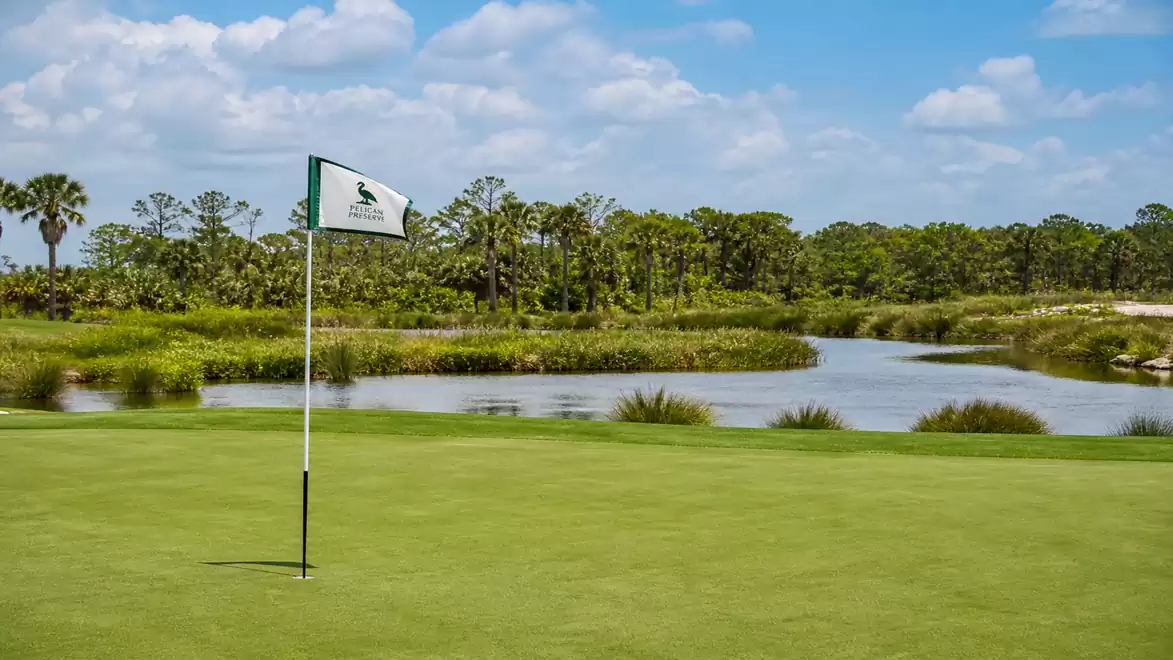 A well-maintained golf green with a flag in a scenic area featuring water and trees in the background.
