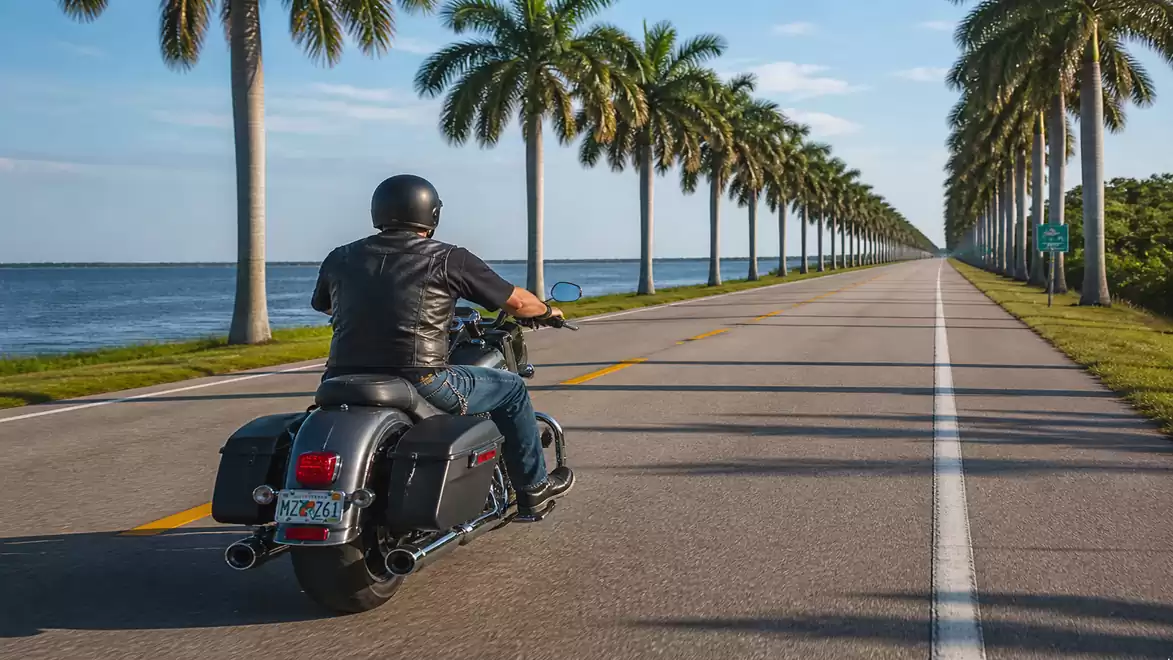 A motorcyclist rides down a road lined with palm trees, with a view of the ocean under a clear sky.