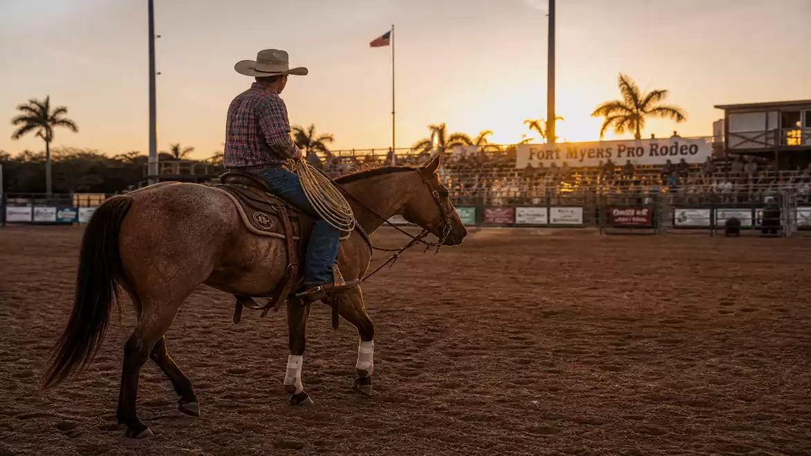 A cowboy rides a horse in an arena during sunset. In the background are palm trees and spectator stands of the Fort Myers Pro Rodeo.