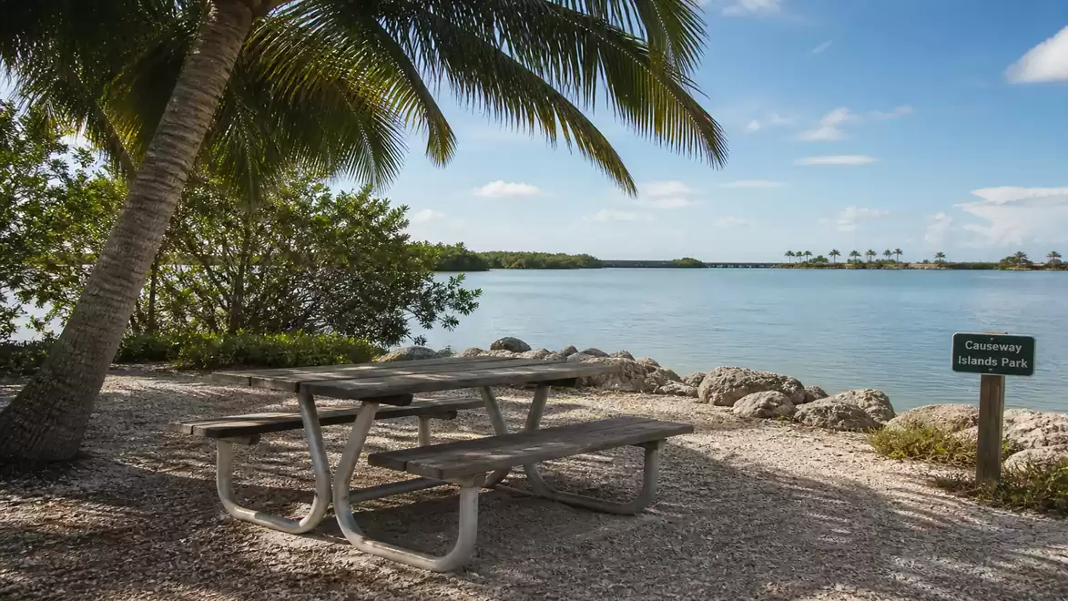 A picnic table under a palm tree overlooking a tranquil lake in Curry Hammock State Park, Florida. Ideal for a relaxing meal in nature.