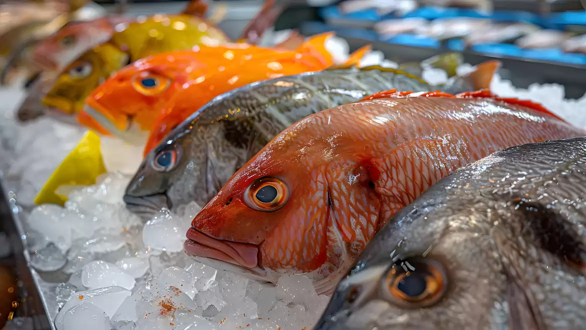 Various colorful fish lying on ice at a fish market stall.