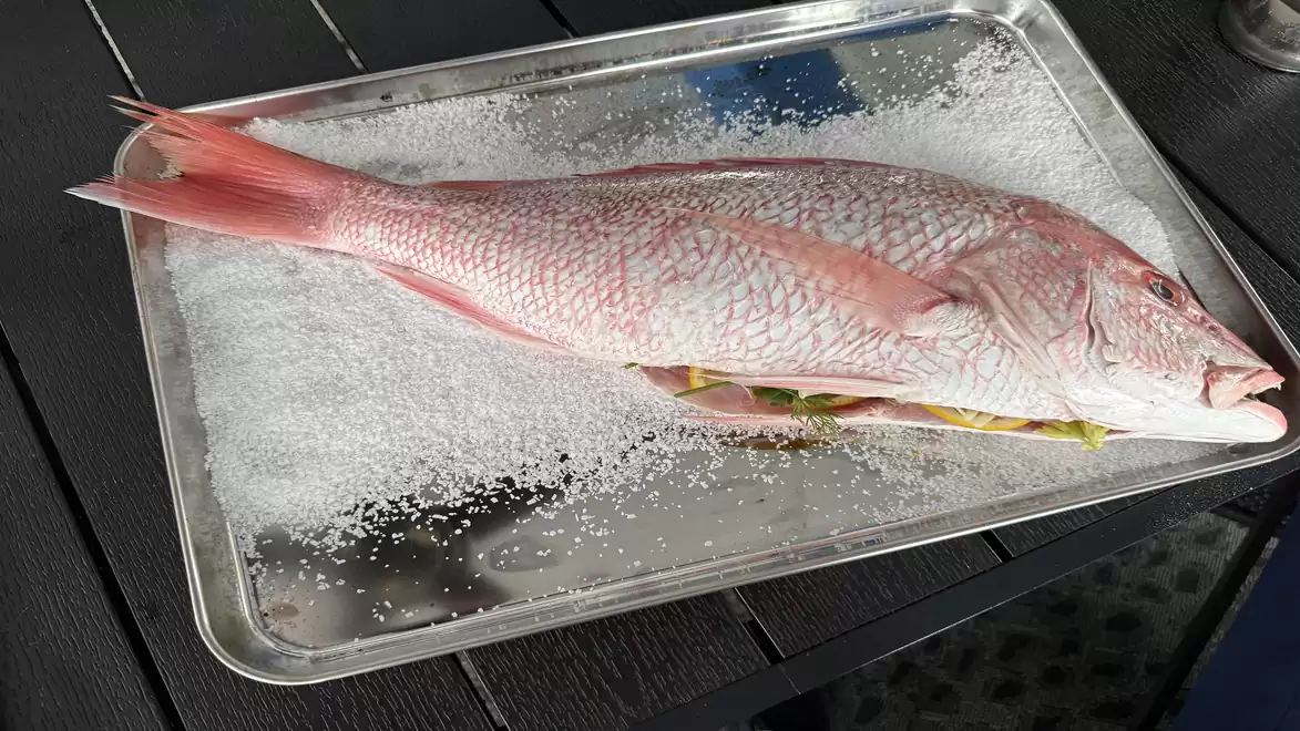 A red fish on a tray surrounded by coarse salt, ready for cooking.