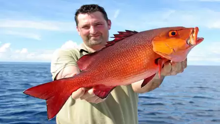 A man holds a large red fish in front of a clear blue sky and the ocean.