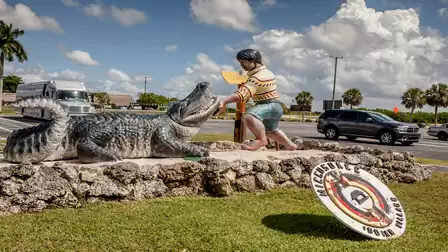 A statue depicts a person approaching an alligator. The scene is set on a grassy area next to a road under clear skies.