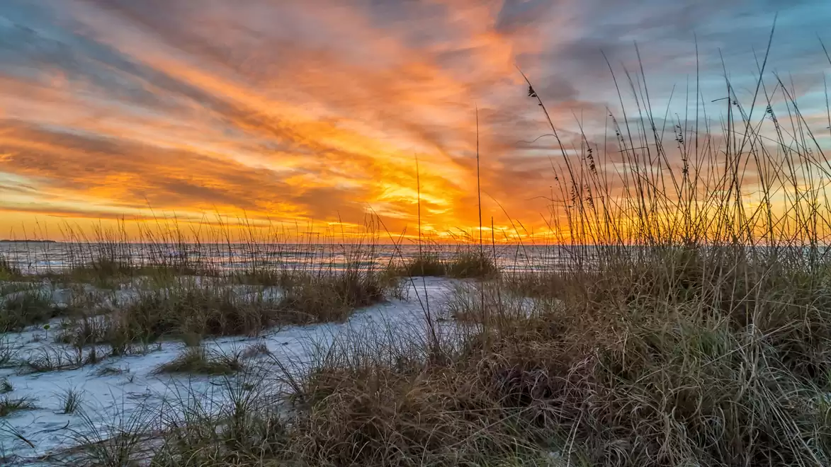 A stunning sunset over a sandy beach, surrounded by tall grasses.