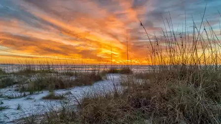 A stunning sunset over a sandy beach, surrounded by tall grasses.