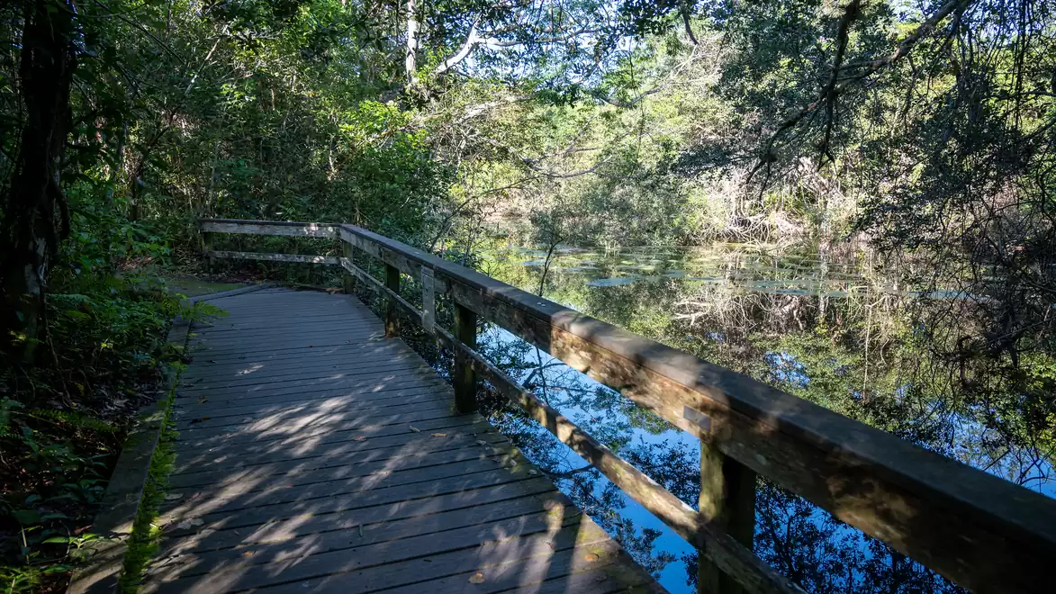 A wooden pathway through a dense forest runs alongside a calm body of water. The trees reflect in the water, creating a peaceful, natural atmosphere.