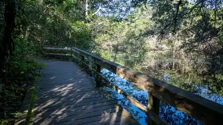 A wooden pathway through a dense forest runs alongside a calm body of water. The trees reflect in the water, creating a peaceful, natural atmosphere.
