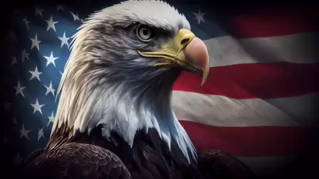 A majestic bald eagle in front of a waving American flag.