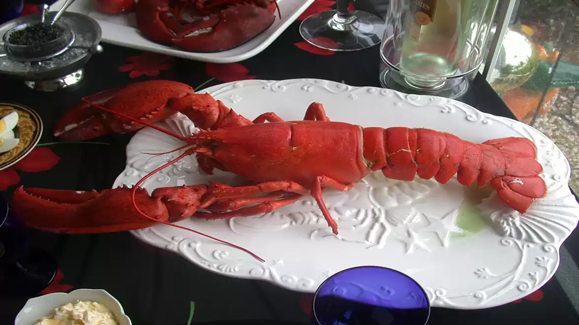 A cooked lobster on a white platter, surrounded by dishes and cutlery on a set table.