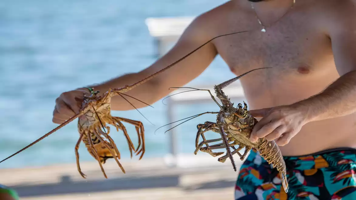 A person holds two lobsters in their hands at the beach, with blue water in the background.