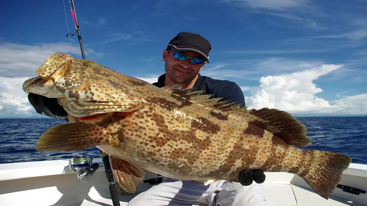 An angler holds a large grouper on a boat, surrounded by blue sky and sea.
