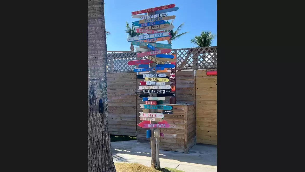 Colorfully painted signposts at a beach with palm trees in the background under a clear blue sky.