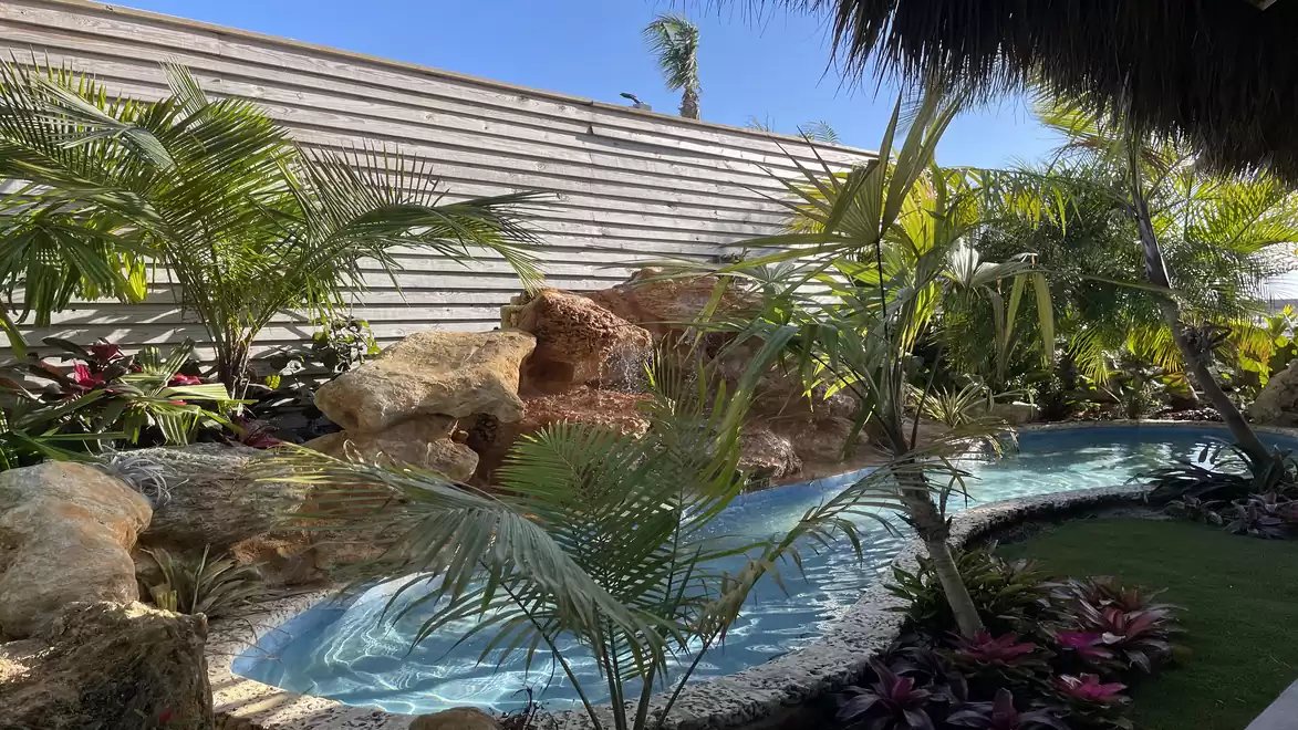 Tropical garden landscape with palm trees, small pool, and stone elements under sunny weather.