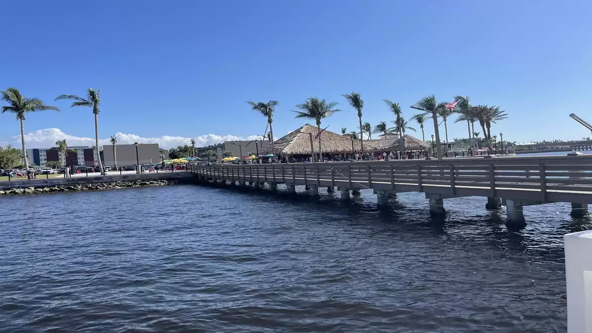 A long wooden pier leads over the water to a waterfront promenade with palm trees under a clear blue sky.