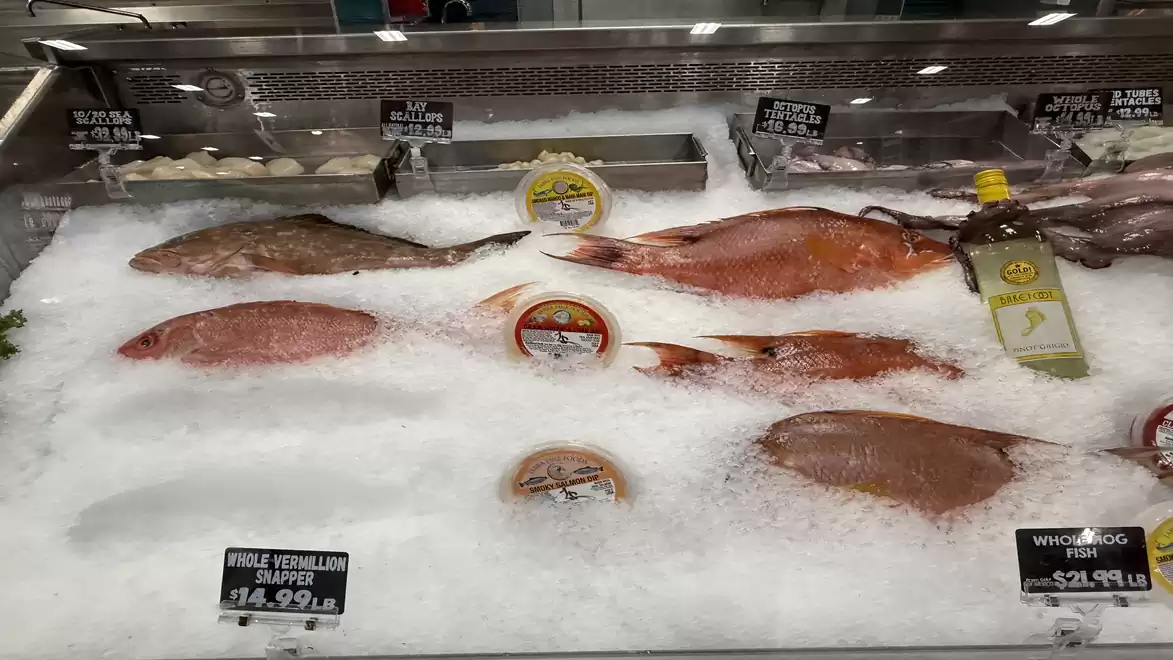 Supermarket fish counter with various fresh fish and price tags on ice.