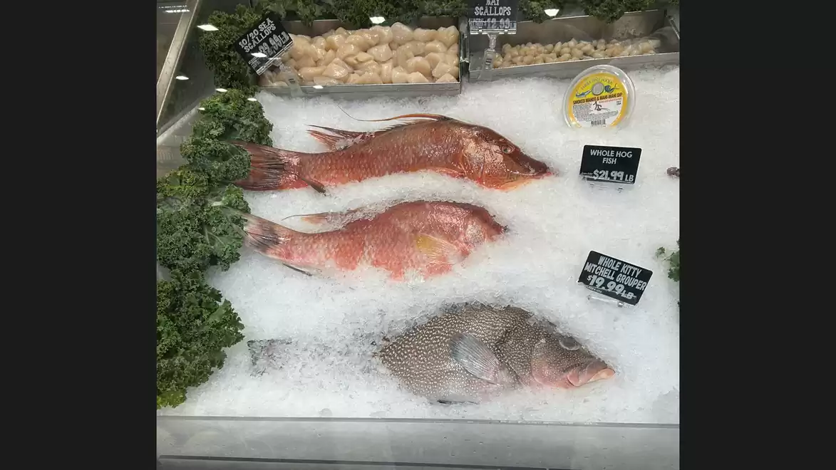 A fish display in a shop showing various fish lying on ice. Two red fish and one dark fish are visible, surrounded by price tags and green decorations.