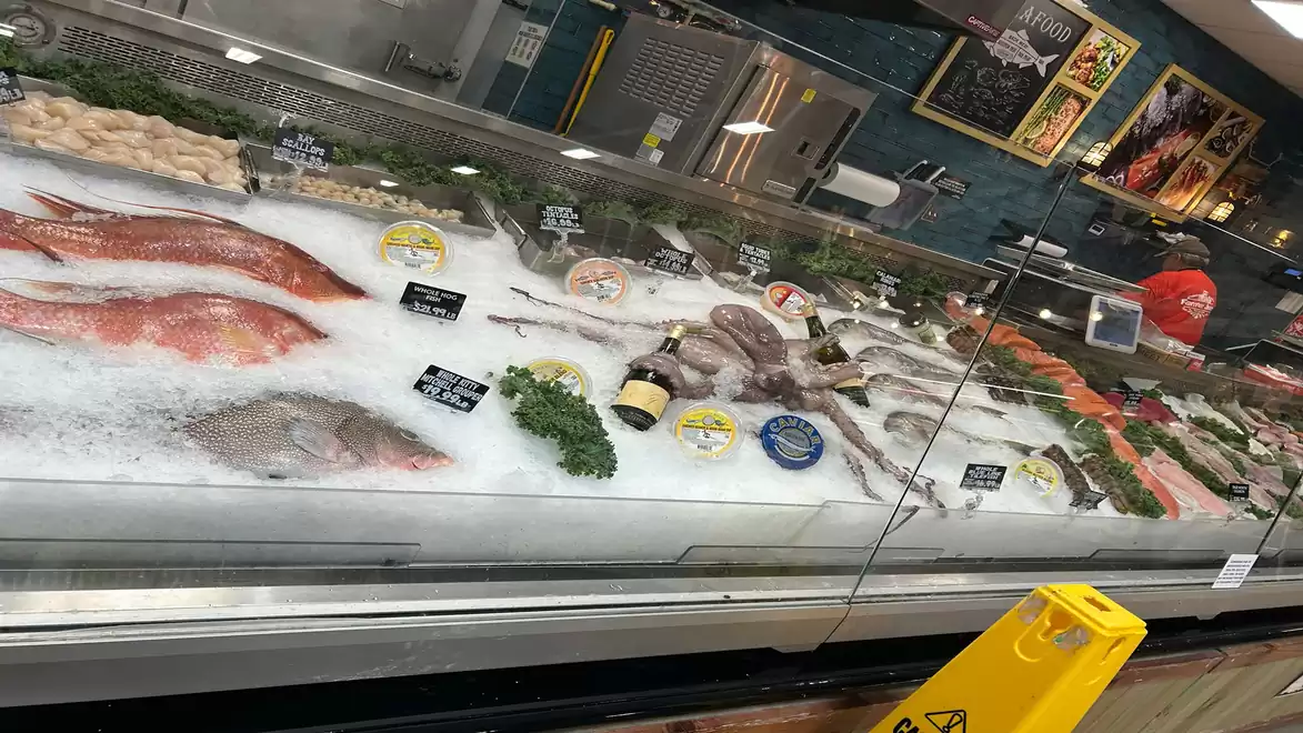 Fresh fish and seafood display in a supermarket counter. Various types of fish and seafood presented on ice.
