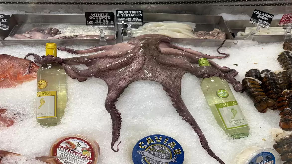 An octopus on ice in a fish counter, surrounded by two wine bottles and other seafood.