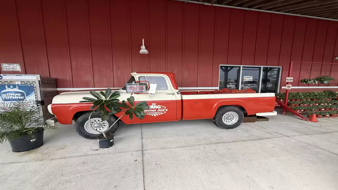 A red and white vintage pickup truck is parked in front of a red-walled building, surrounded by potted plants.