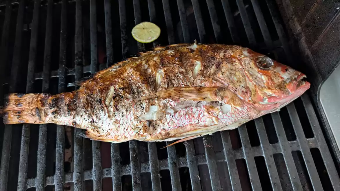 A whole fish Red Snapper is being grilled on a barbecue with a slice of lemon in the background.