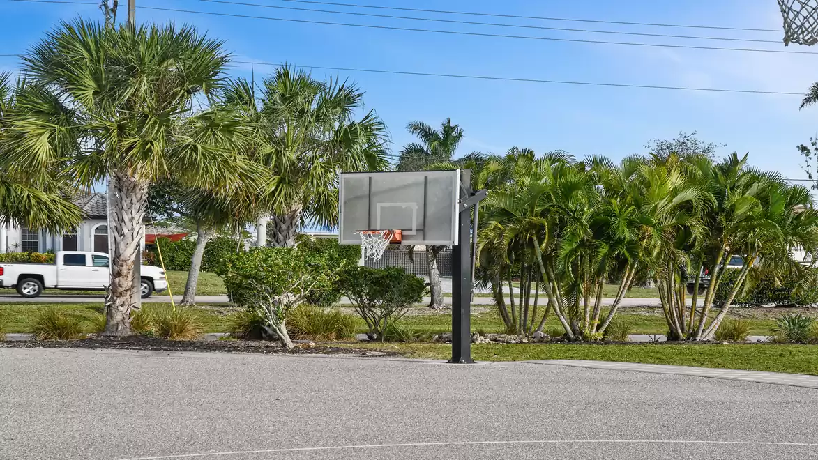 A basketball hoop on an outdoor court surrounded by palm trees in sunny weather.