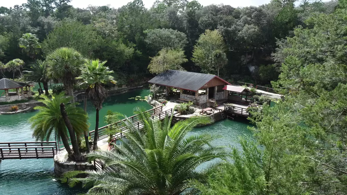 Aerial view of a tropical garden with a wooden house surrounded by lush palm trees and an emerald green pond.