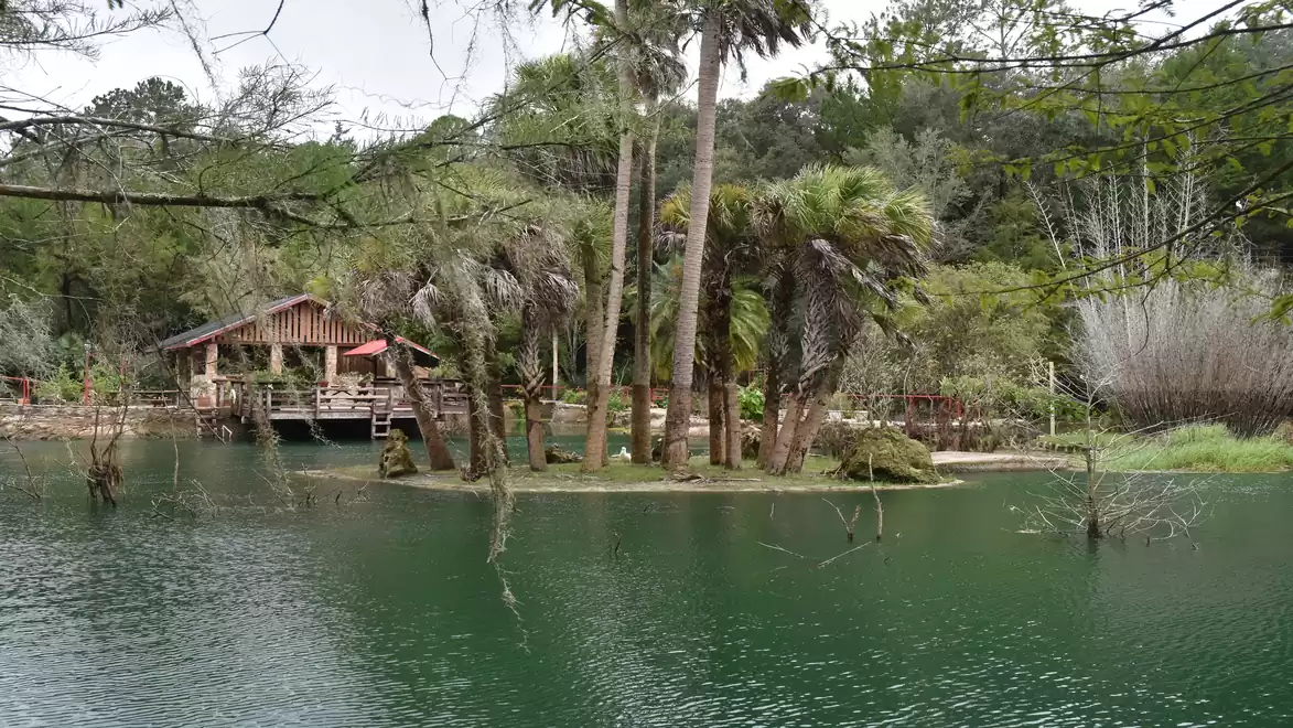 An idyllic lake with a small island surrounded by palm trees. In the background, a wooden hut is visible on the shore.