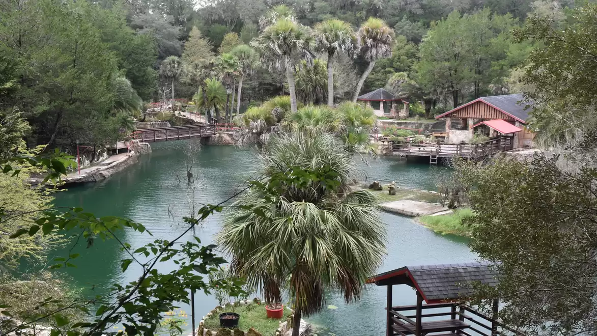An idyllic park with a lake, surrounded by lush trees and palm trees. In the background, a wooden house and a pier are visible.