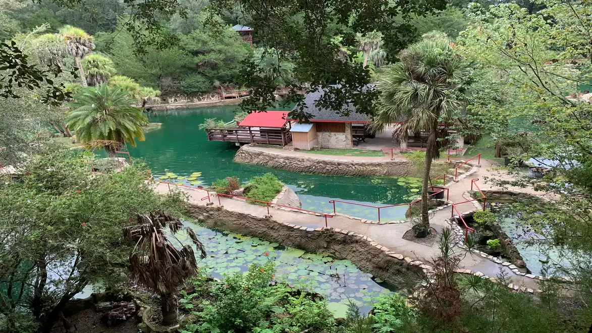 An idyllic park with a small pond surrounded by lush vegetation and palm trees. A small path crosses over the water.
