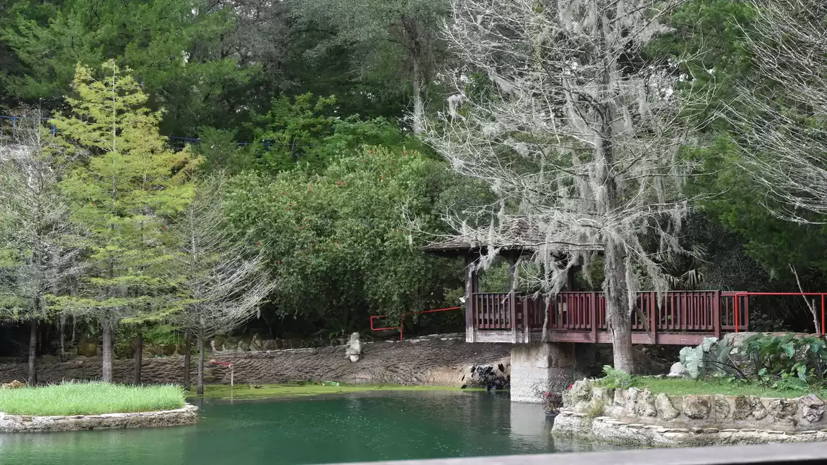 An idyllic park with a small river, a wooden bridge, and lush greenery. The bridge is covered in moss and trees surround the scene.