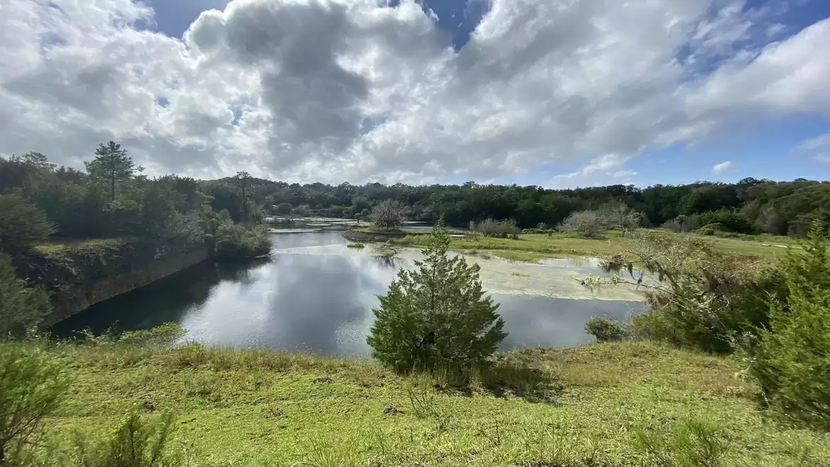 Nature panorama featuring a picturesque lake surrounded by green trees and a cloudy sky.