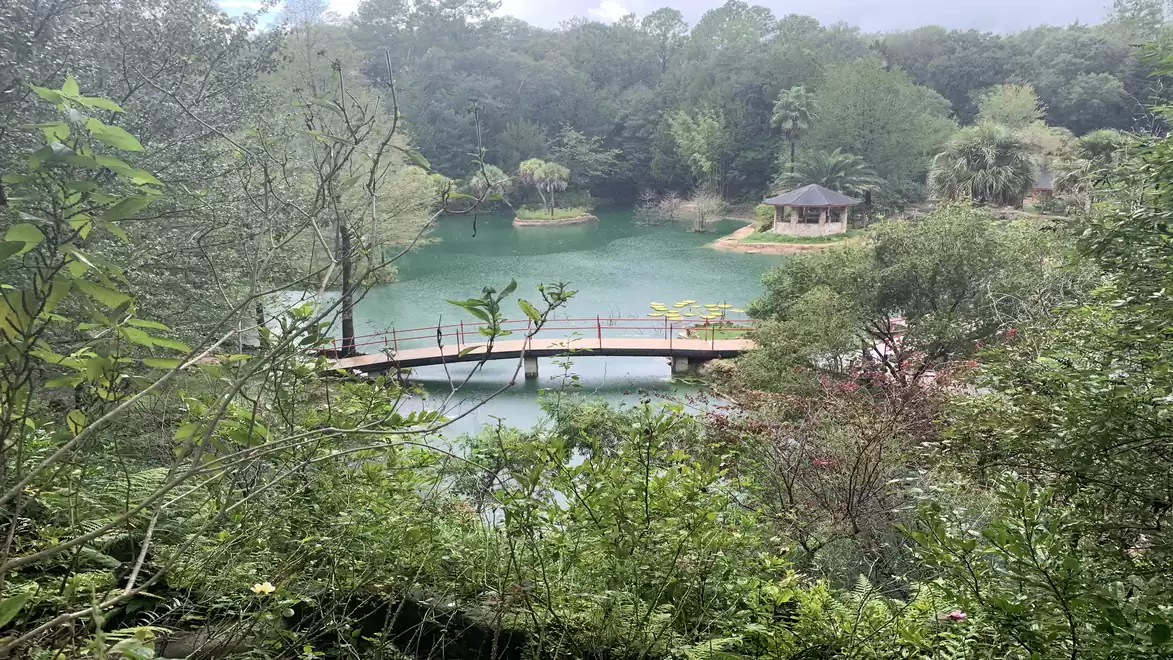 Panoramic view of a picturesque park with a green lake, bridge, and pavilion, surrounded by dense vegetation and trees.