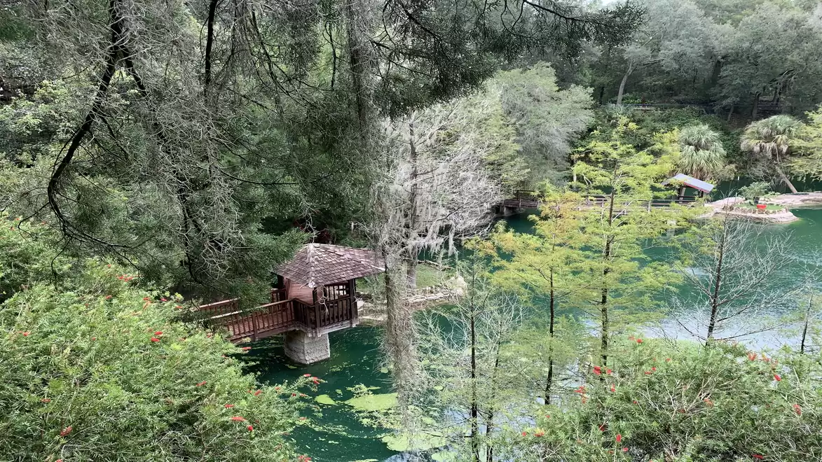 Picturesque landscape with a small wooden house by a clear, green pond surrounded by lush vegetation and tall trees.