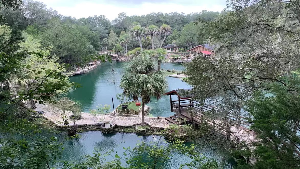 A scenic landscape featuring a tranquil lake surrounded by dense trees and lush greenery. A wooden walkway crosses the water, leading to a small island with palm trees in the center.