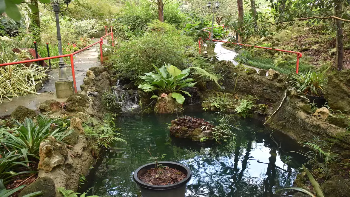 A tranquil garden with a small pond, surrounded by lush greenery and a path with a red railing.
